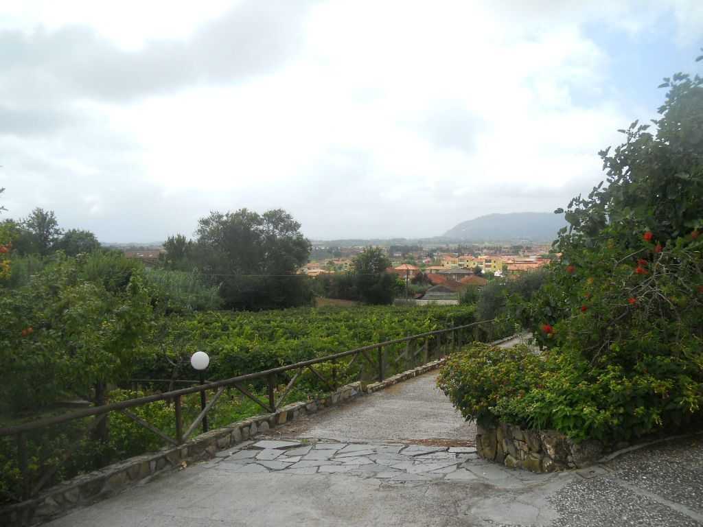  - foto 62