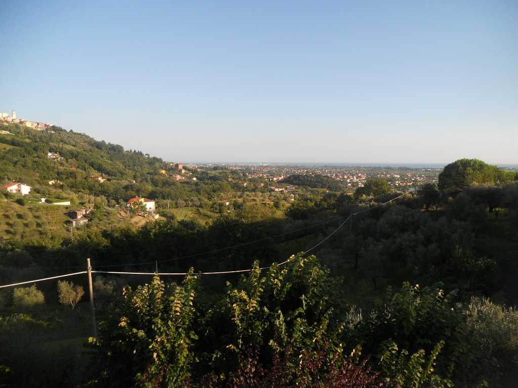  - foto 31