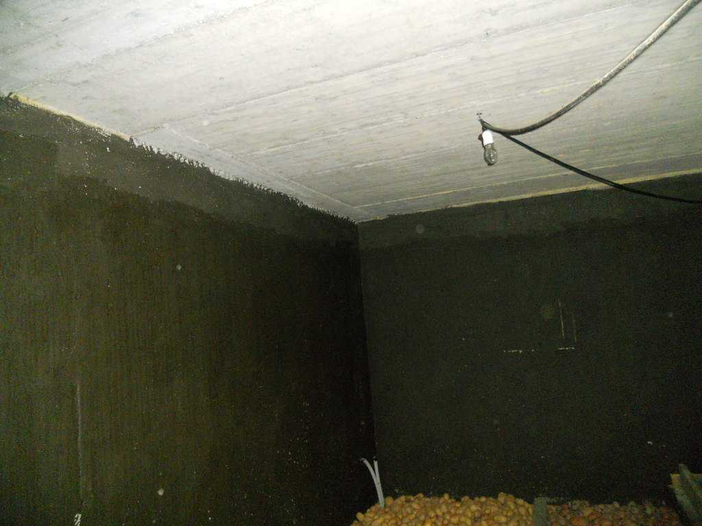  - foto 11