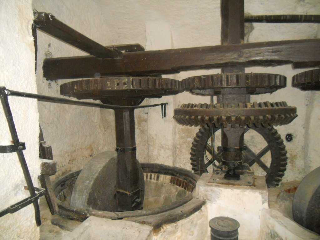  - foto 5