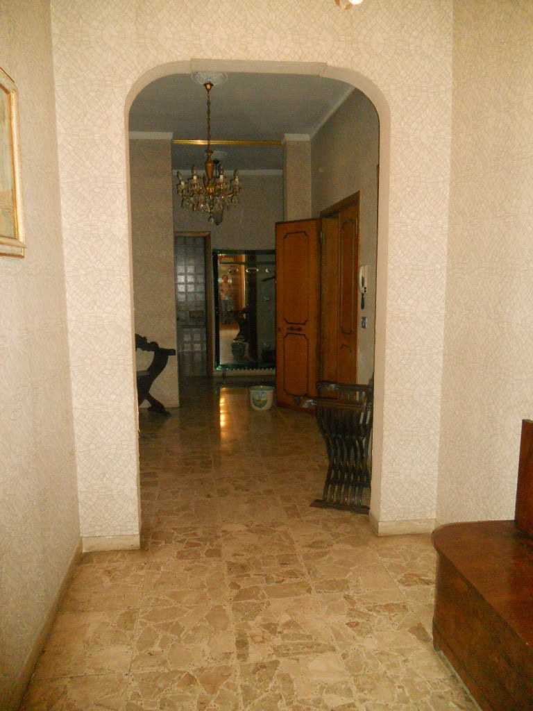  - foto 51