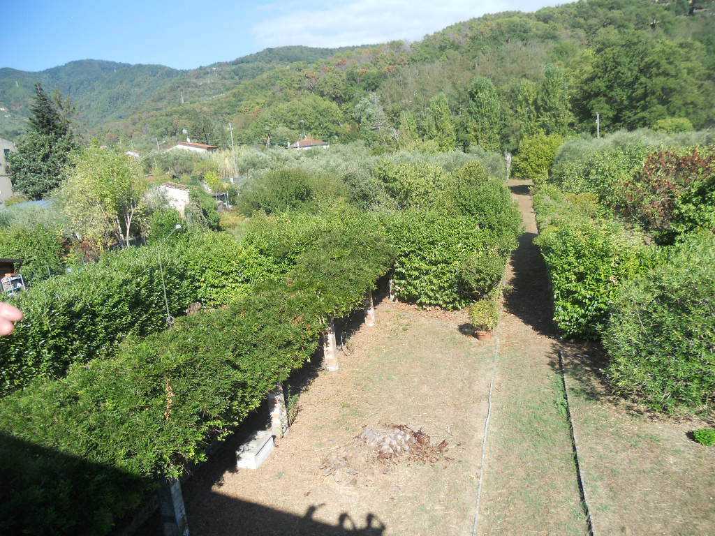  - foto 58