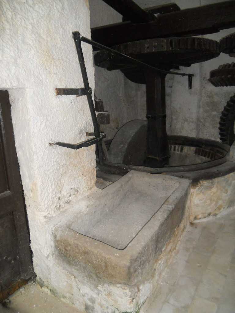  - foto 6