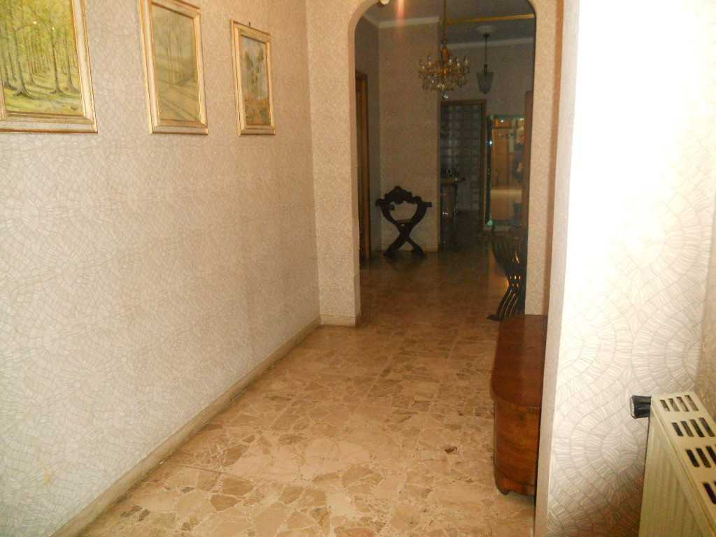  - foto 66