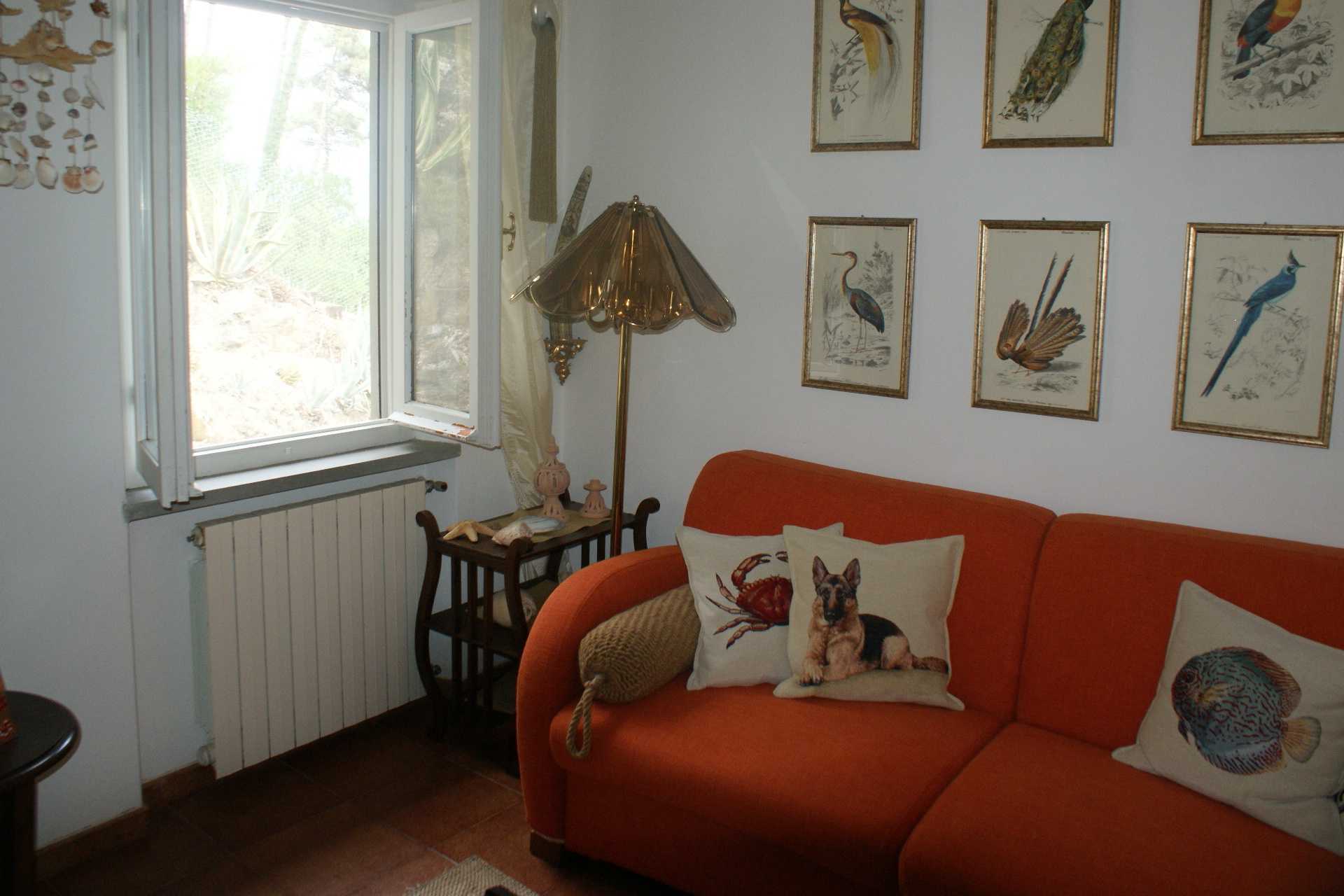  - foto 6