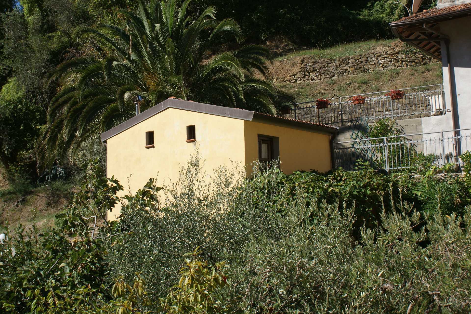  - foto 5