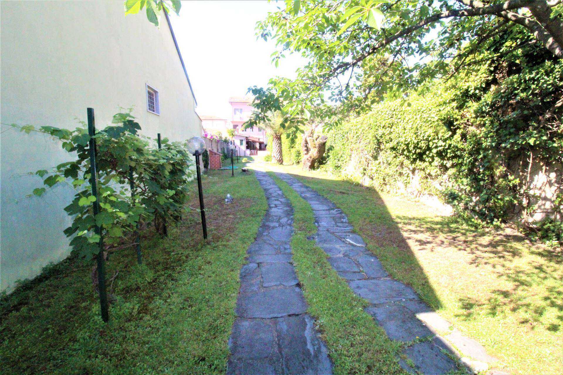  - foto 24