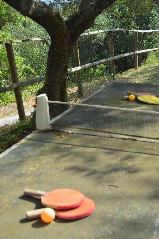  - foto 16