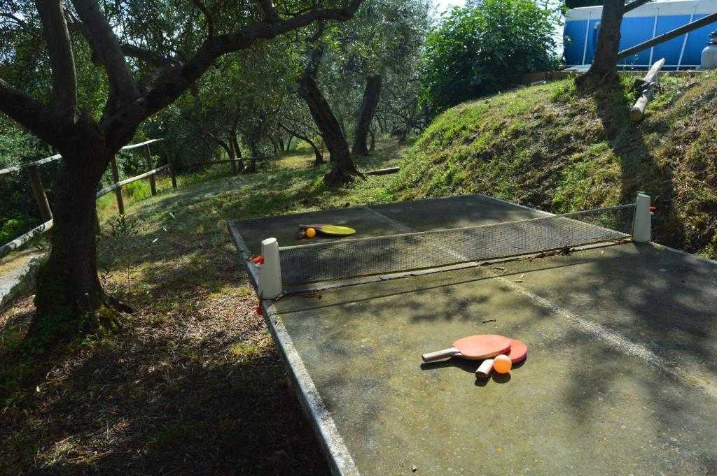  - foto 17