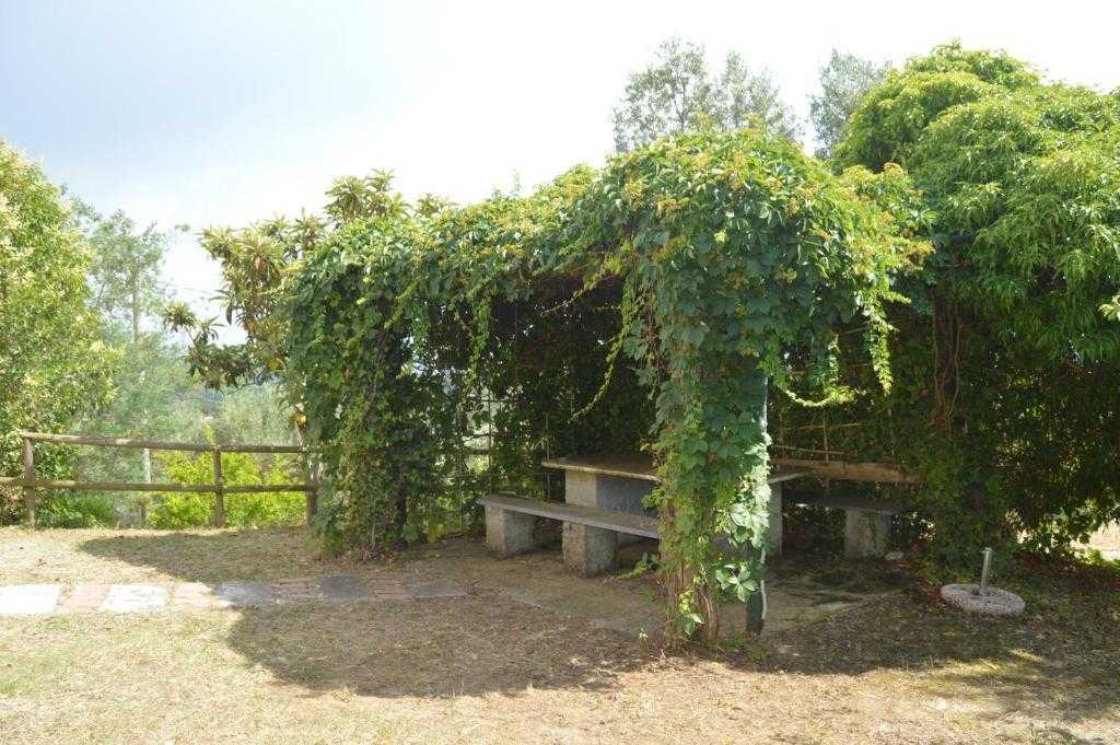  - foto 31