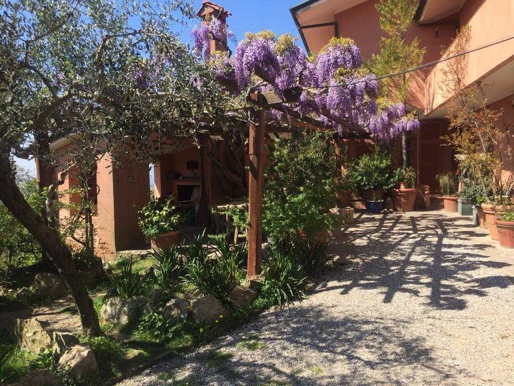 - foto 13