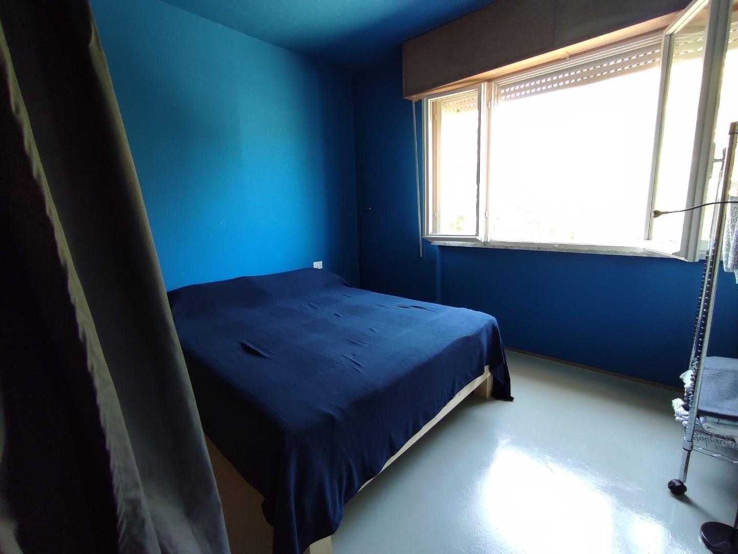  - foto 11