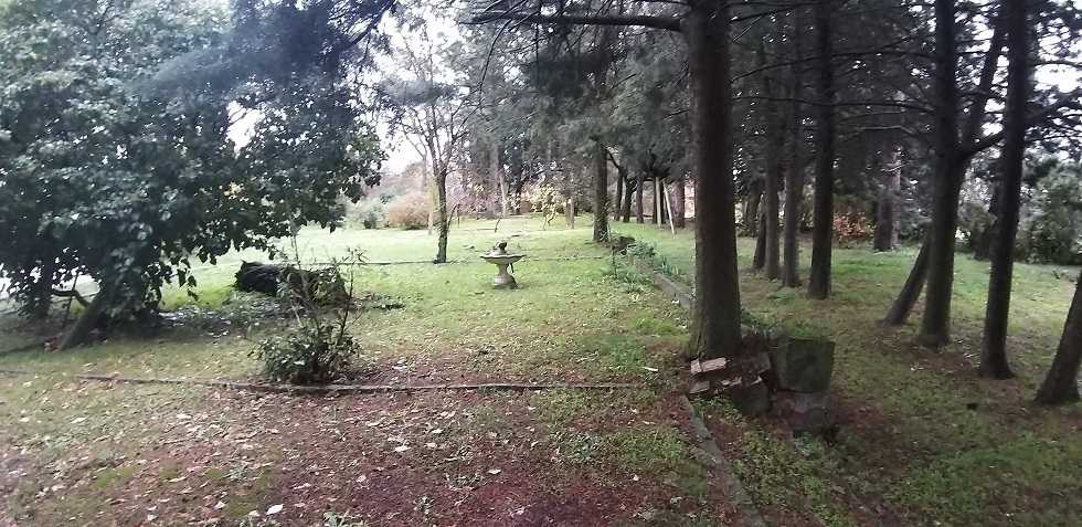  - foto 31