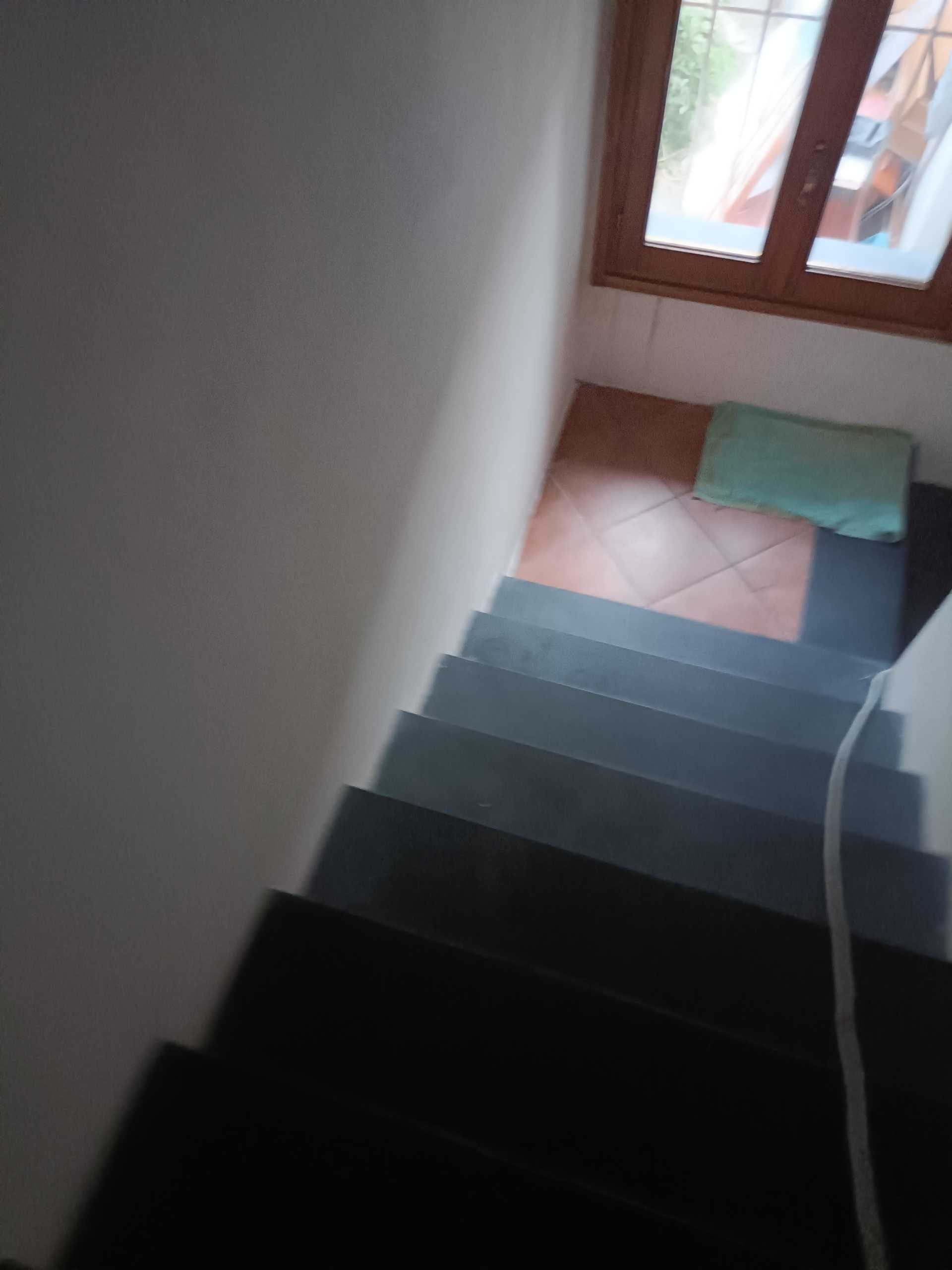 - foto 13