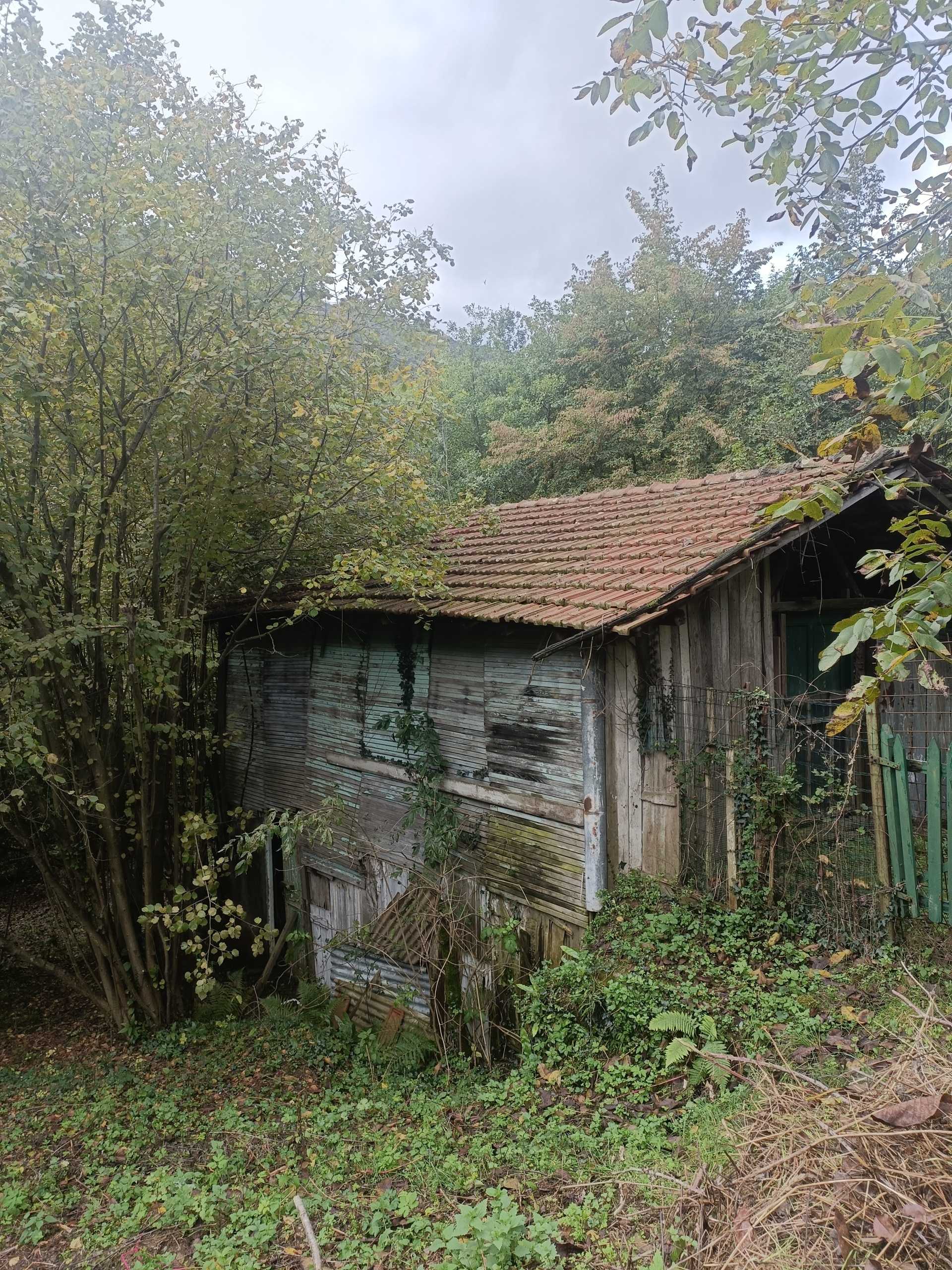  - foto 26