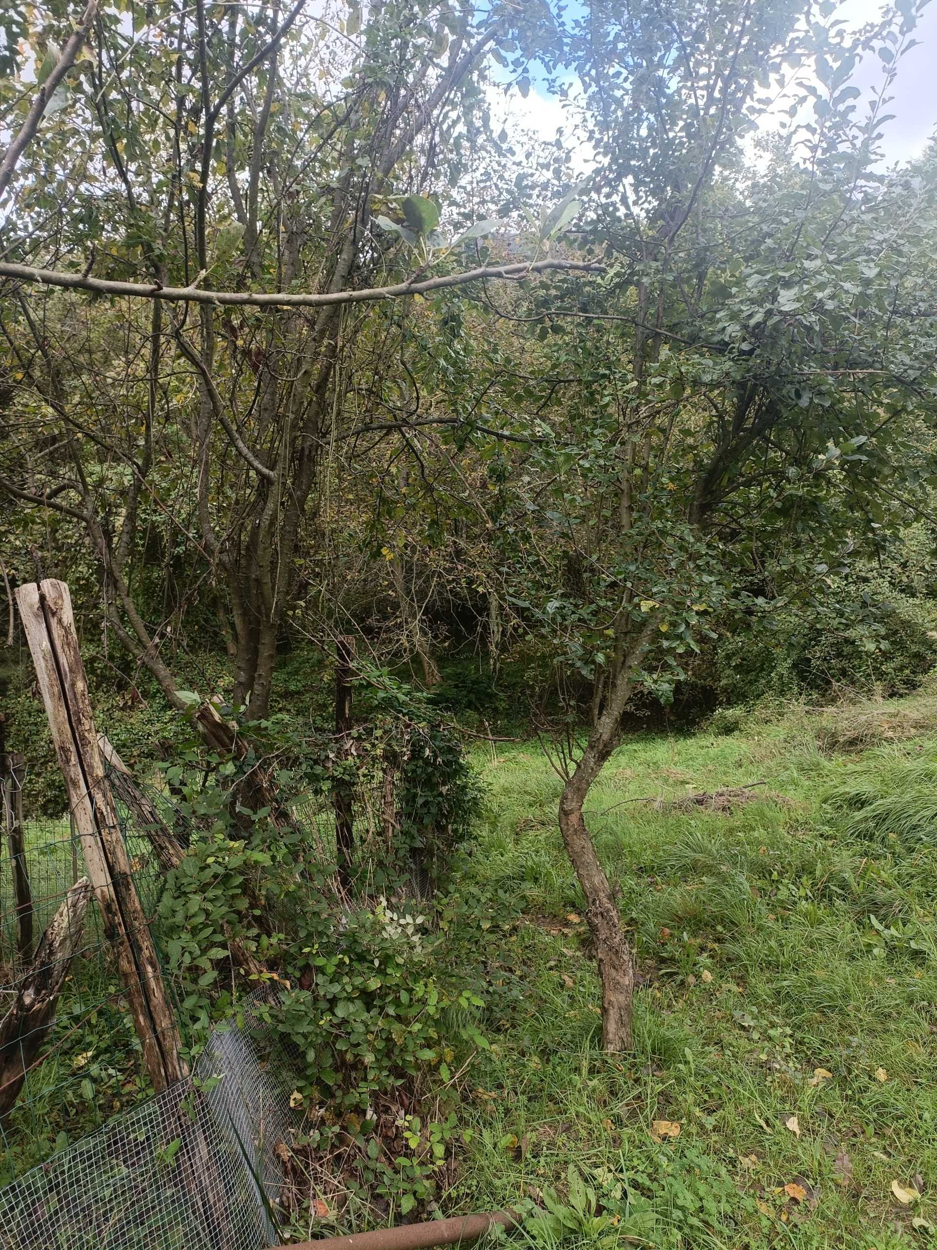  - foto 28
