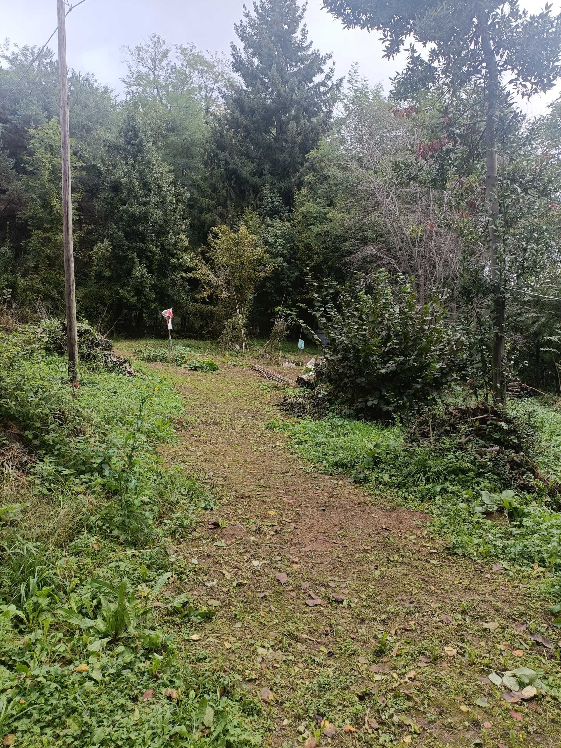 - foto 32
