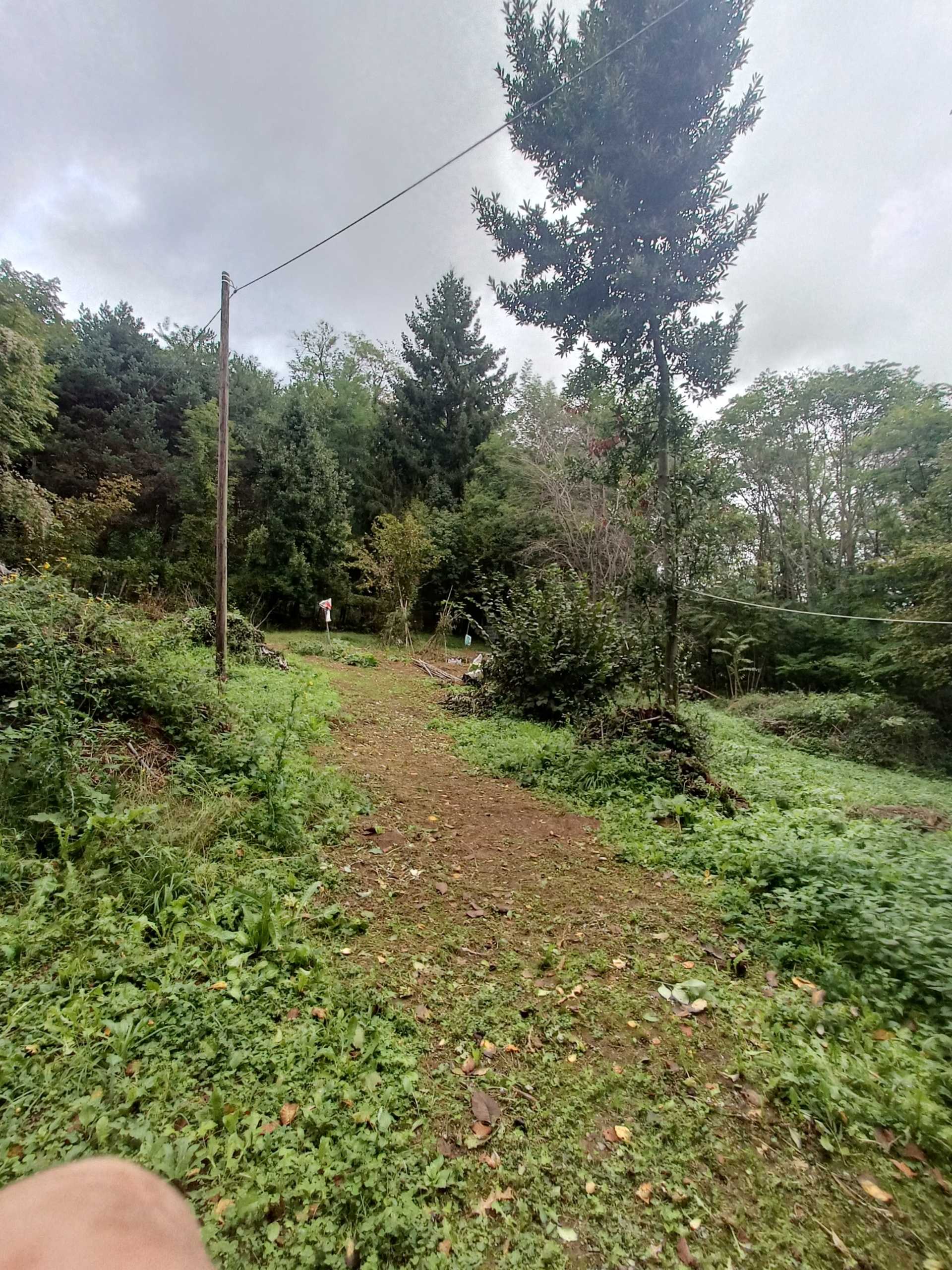  - foto 33