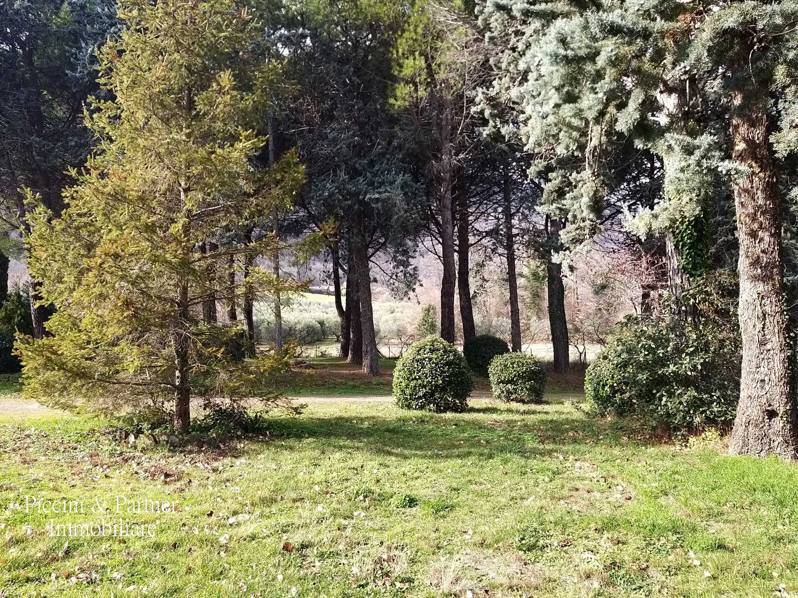  - foto 44