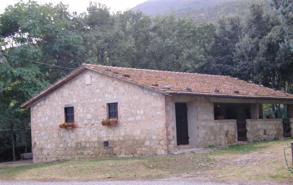  - foto 45