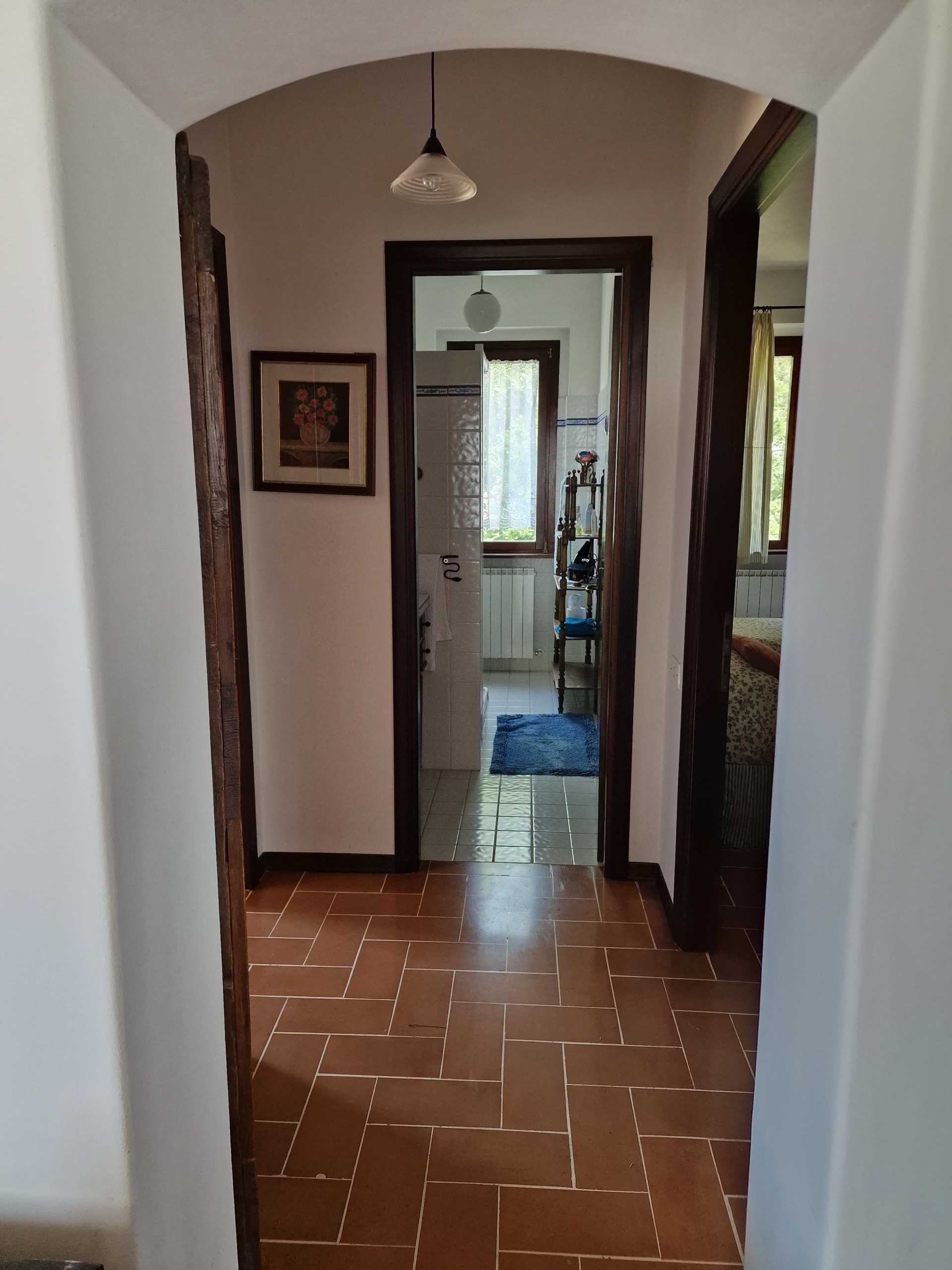  - foto 19