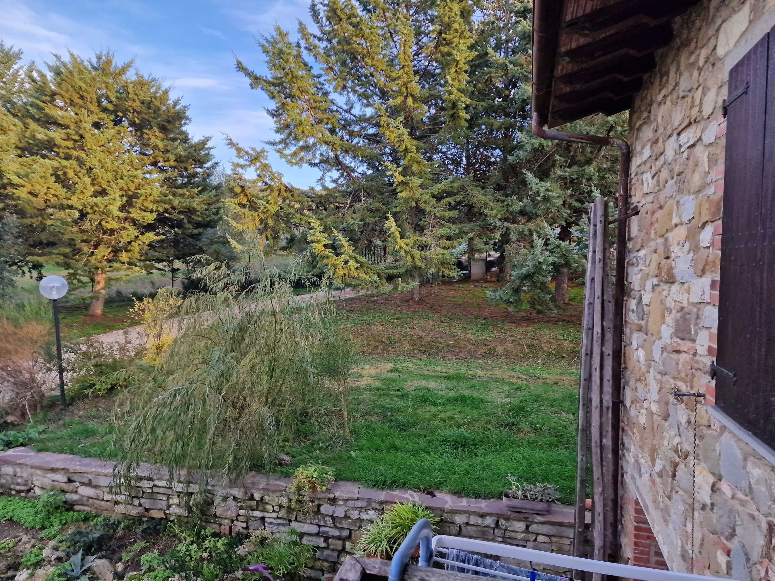  - foto 34