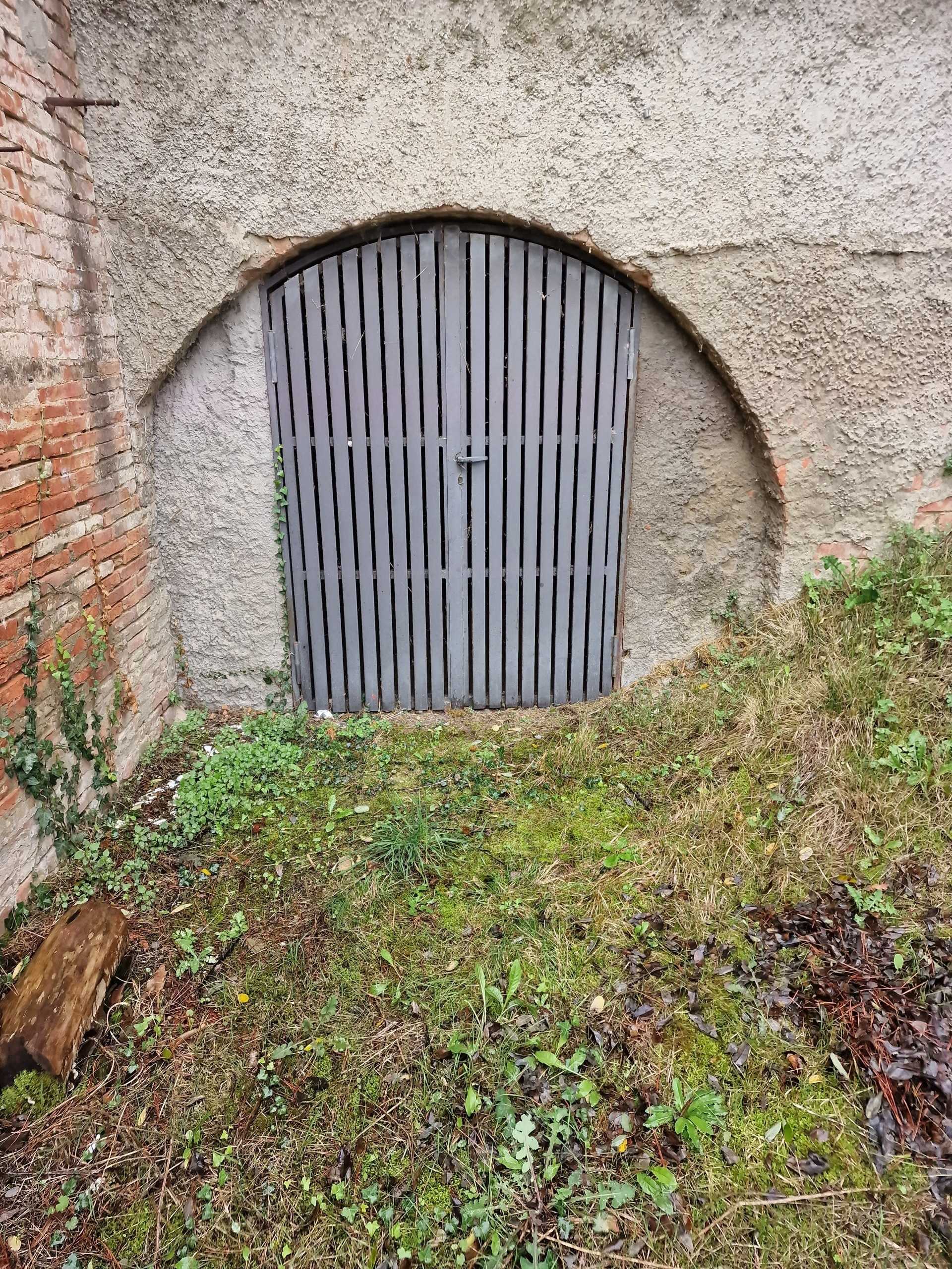  - foto 51