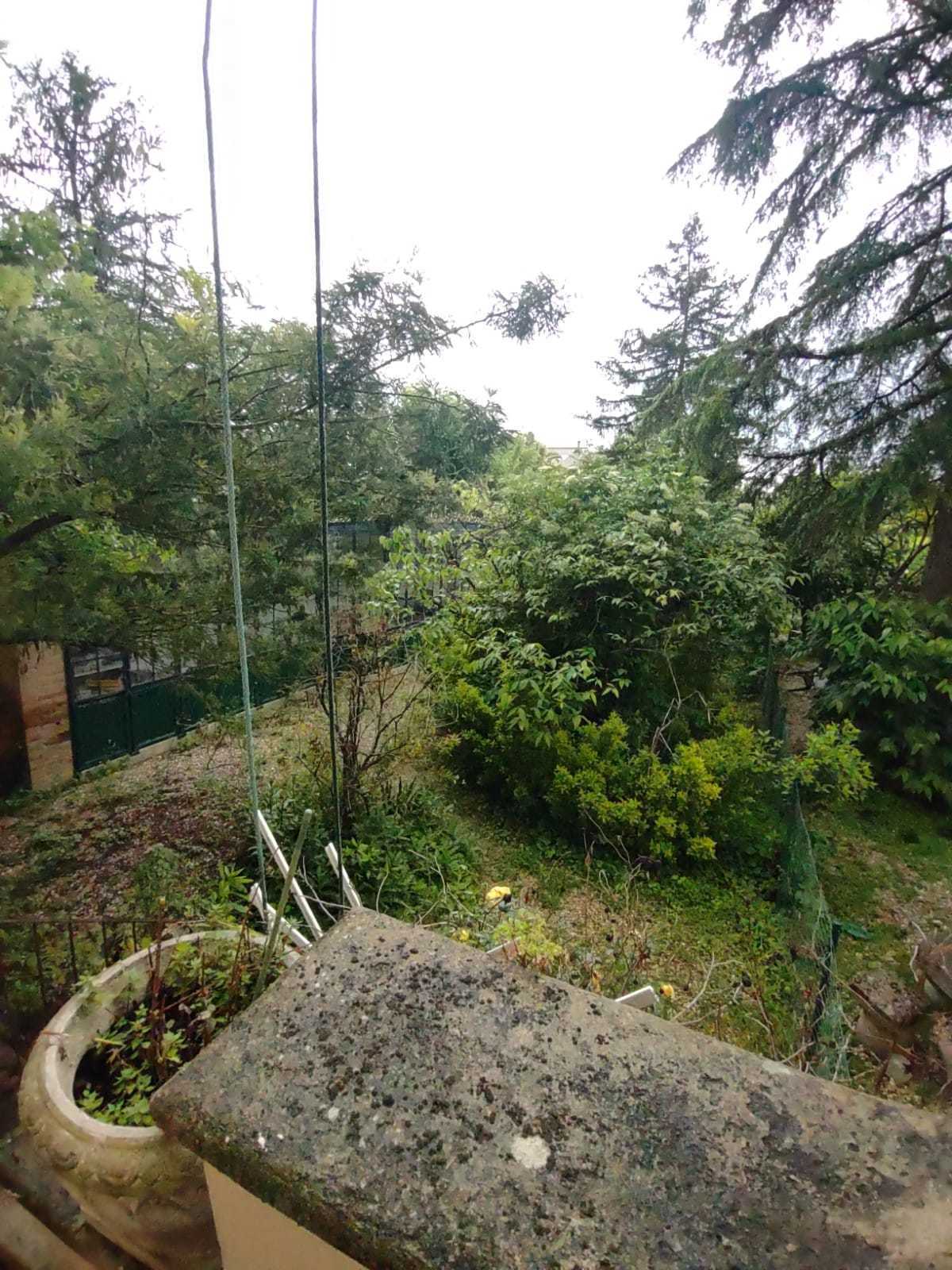  - foto 30