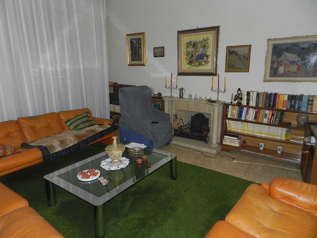  - foto 5
