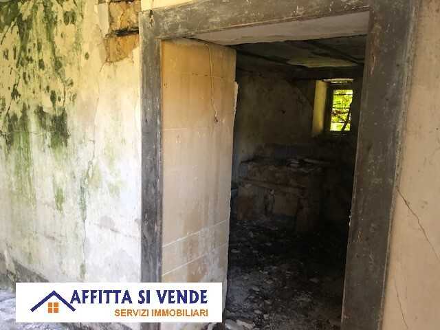  - foto 24