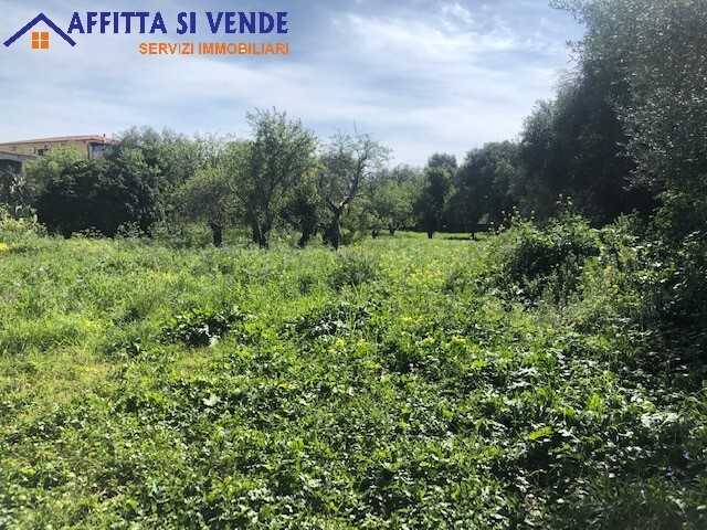  - foto 8
