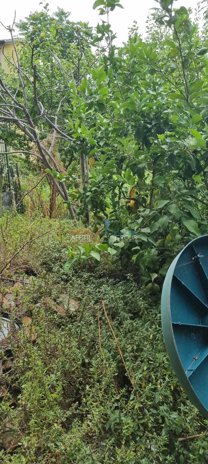  - foto 8