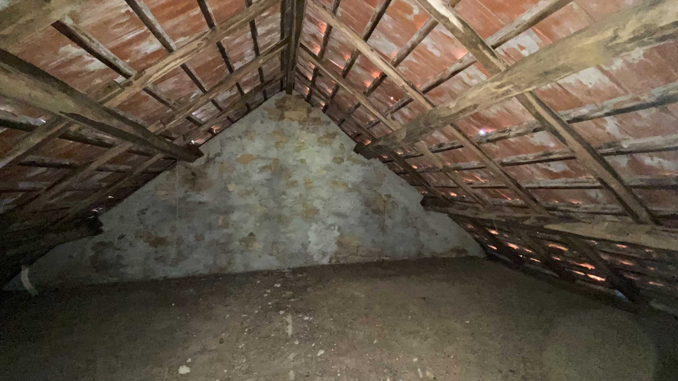  - foto 25
