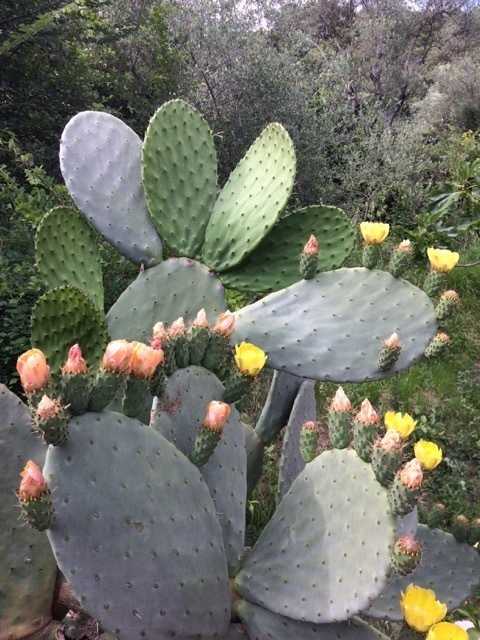  - foto 12