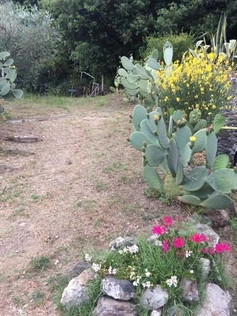  - foto 13