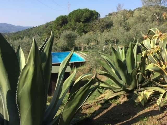  - foto 15
