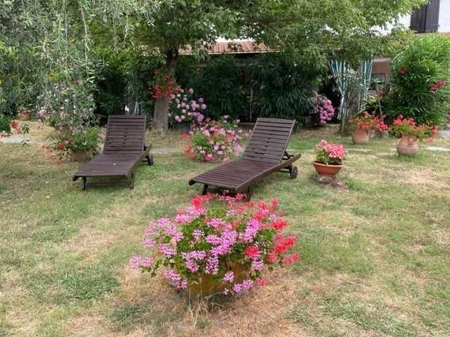  - foto 20