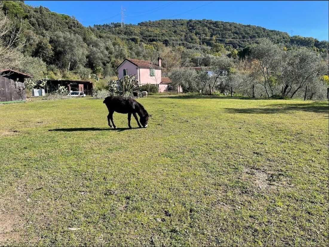 - foto 33