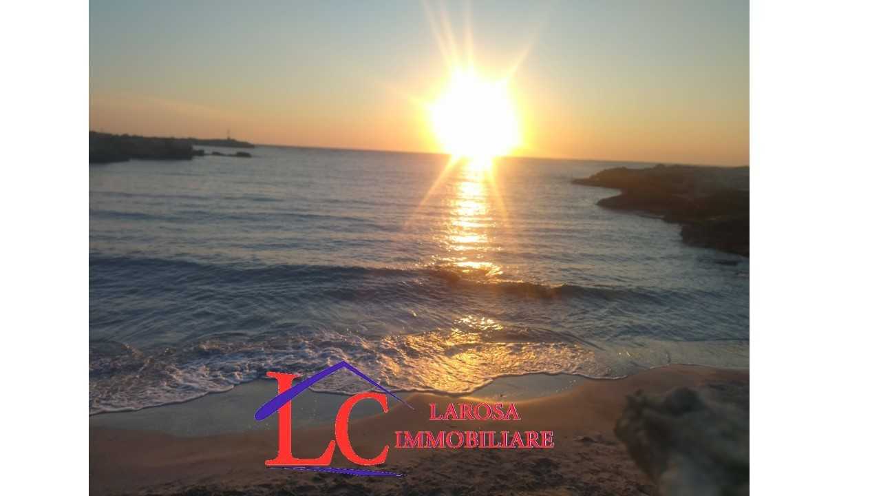  - foto 31