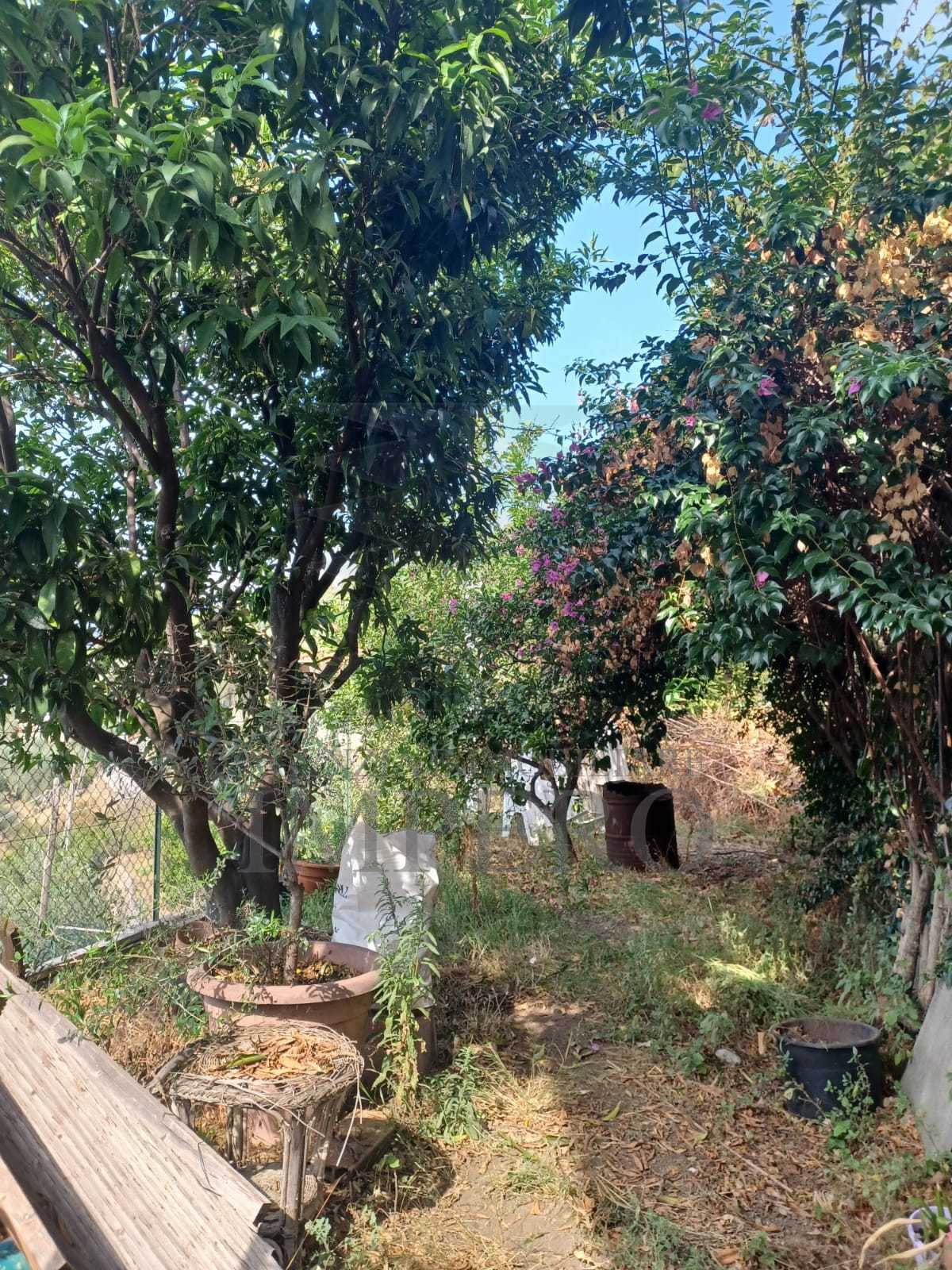  - foto 15