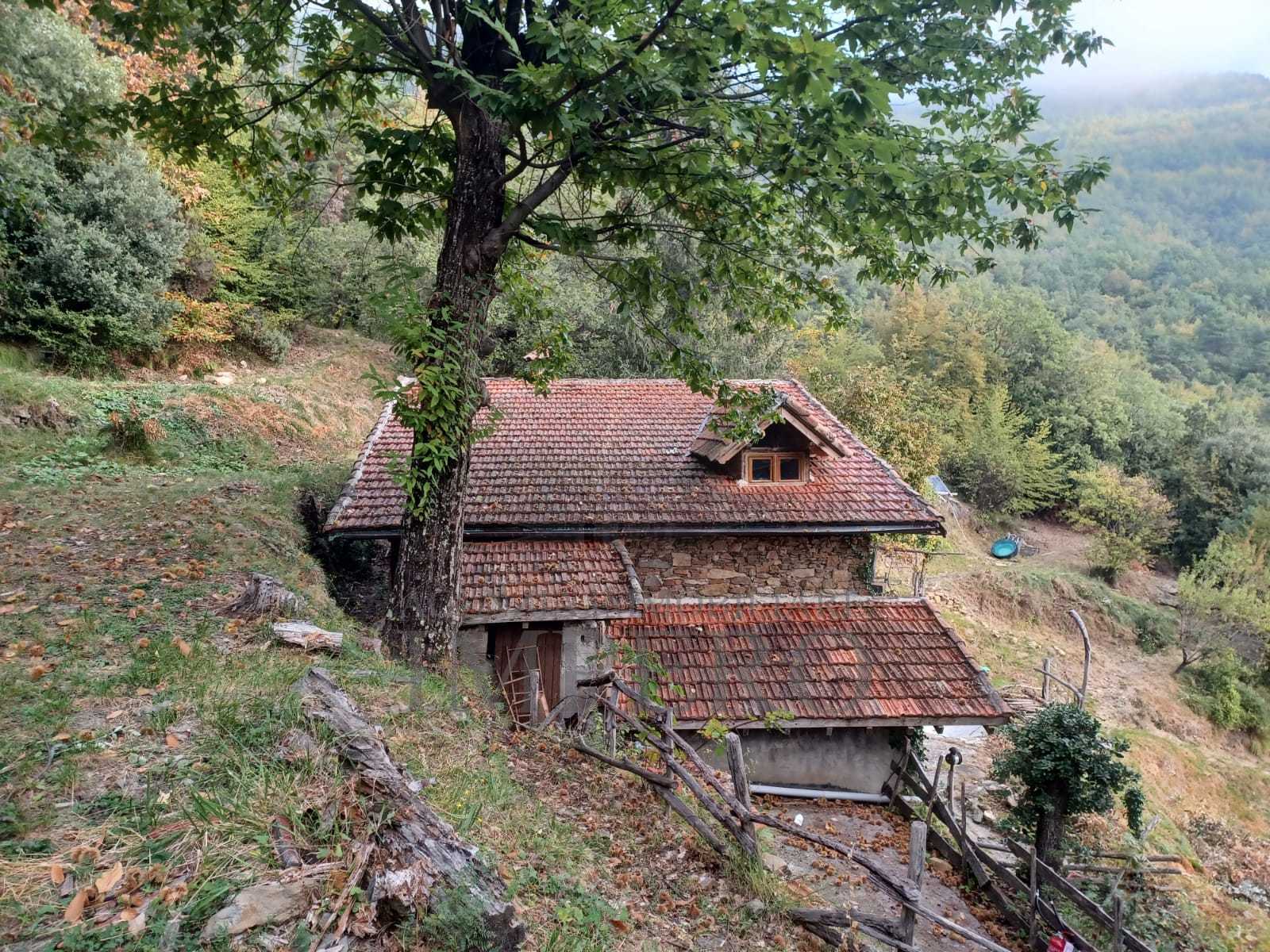  - foto 4