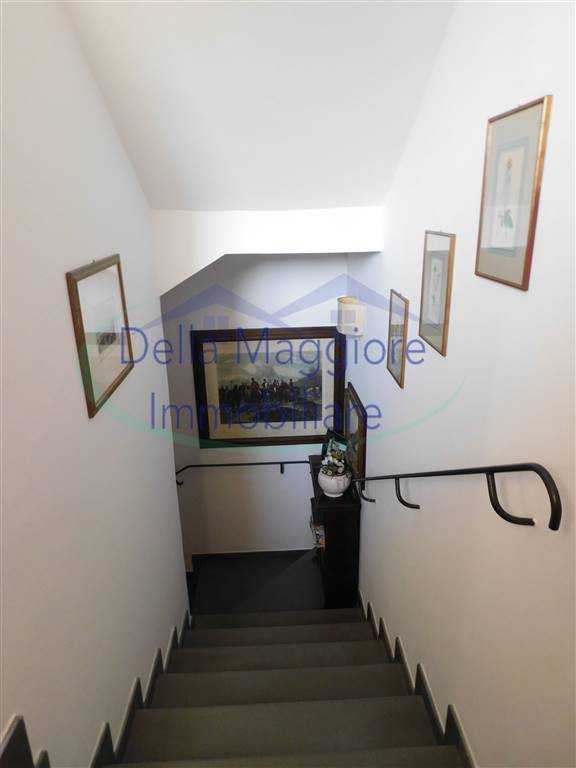  - foto 13