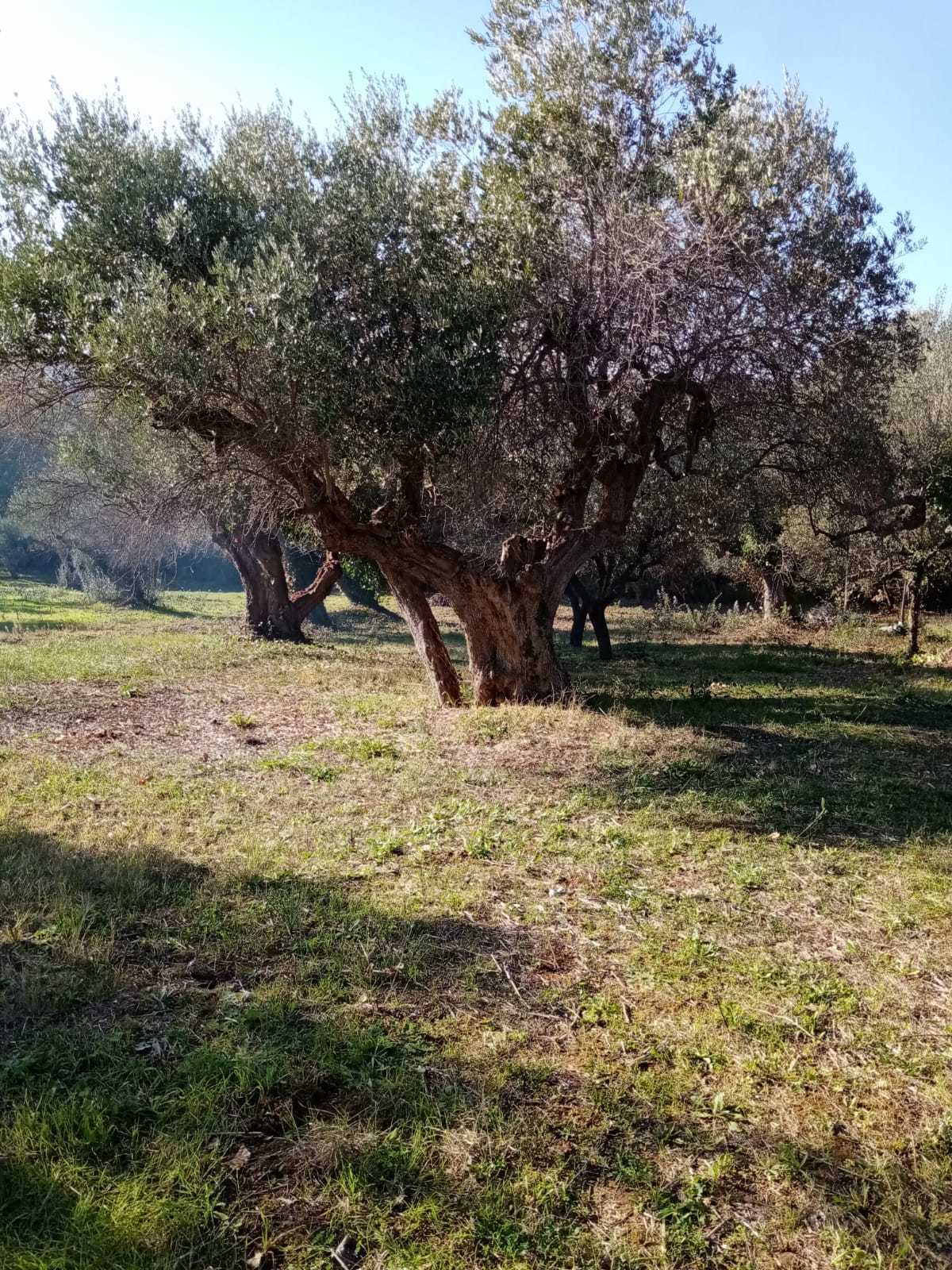  - foto 2