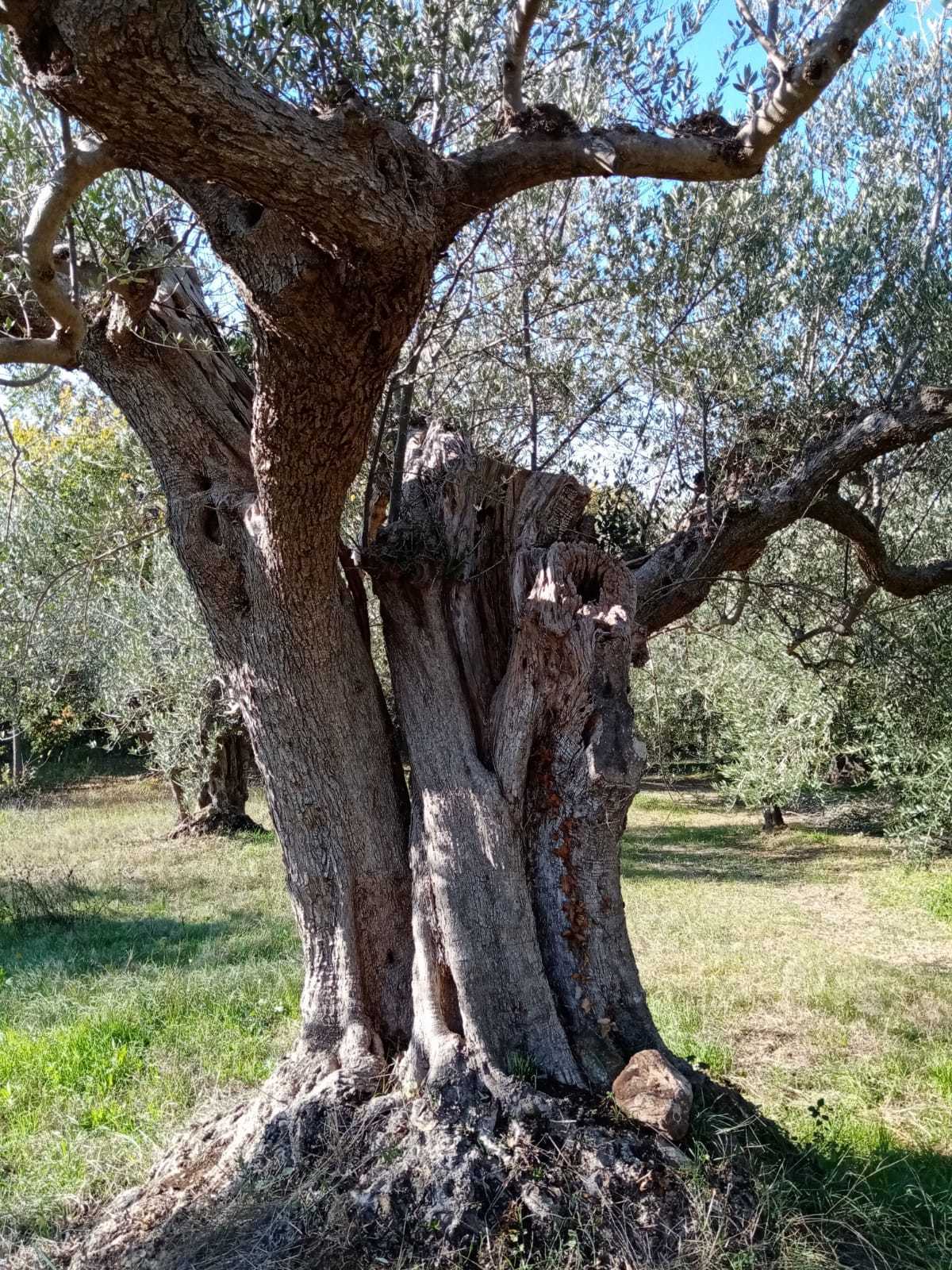  - foto 4