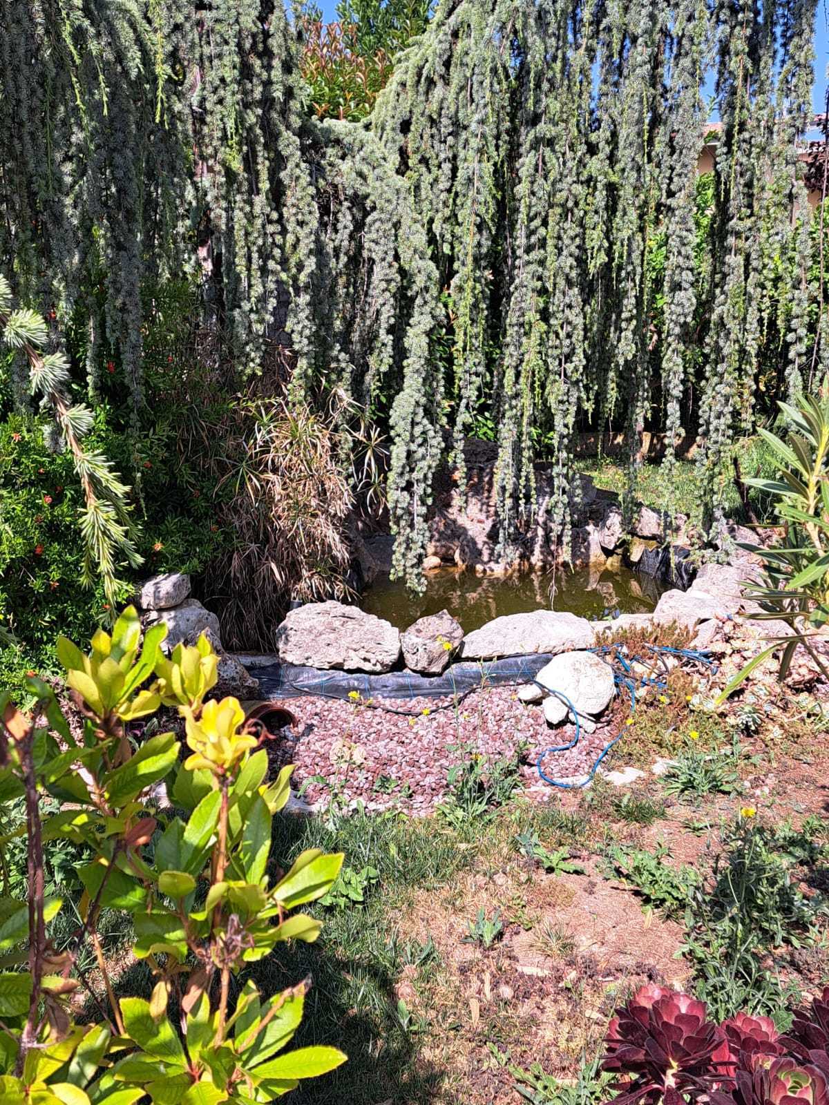  - foto 11