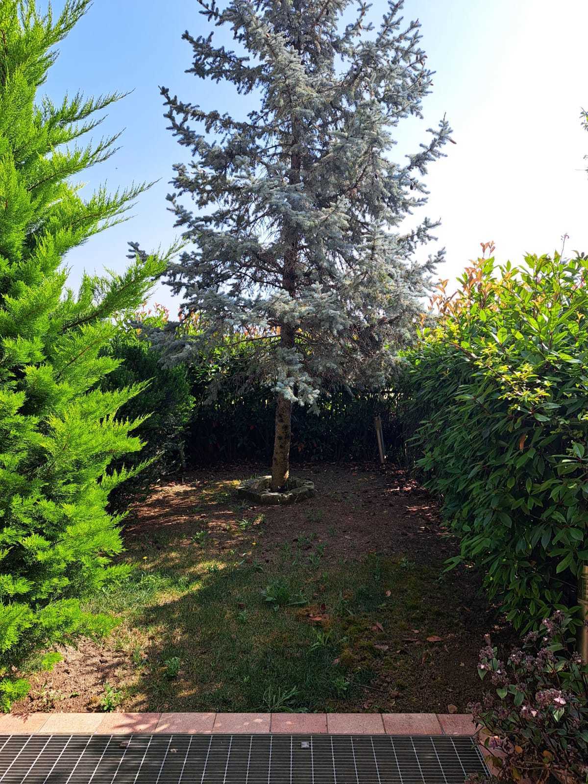  - foto 13