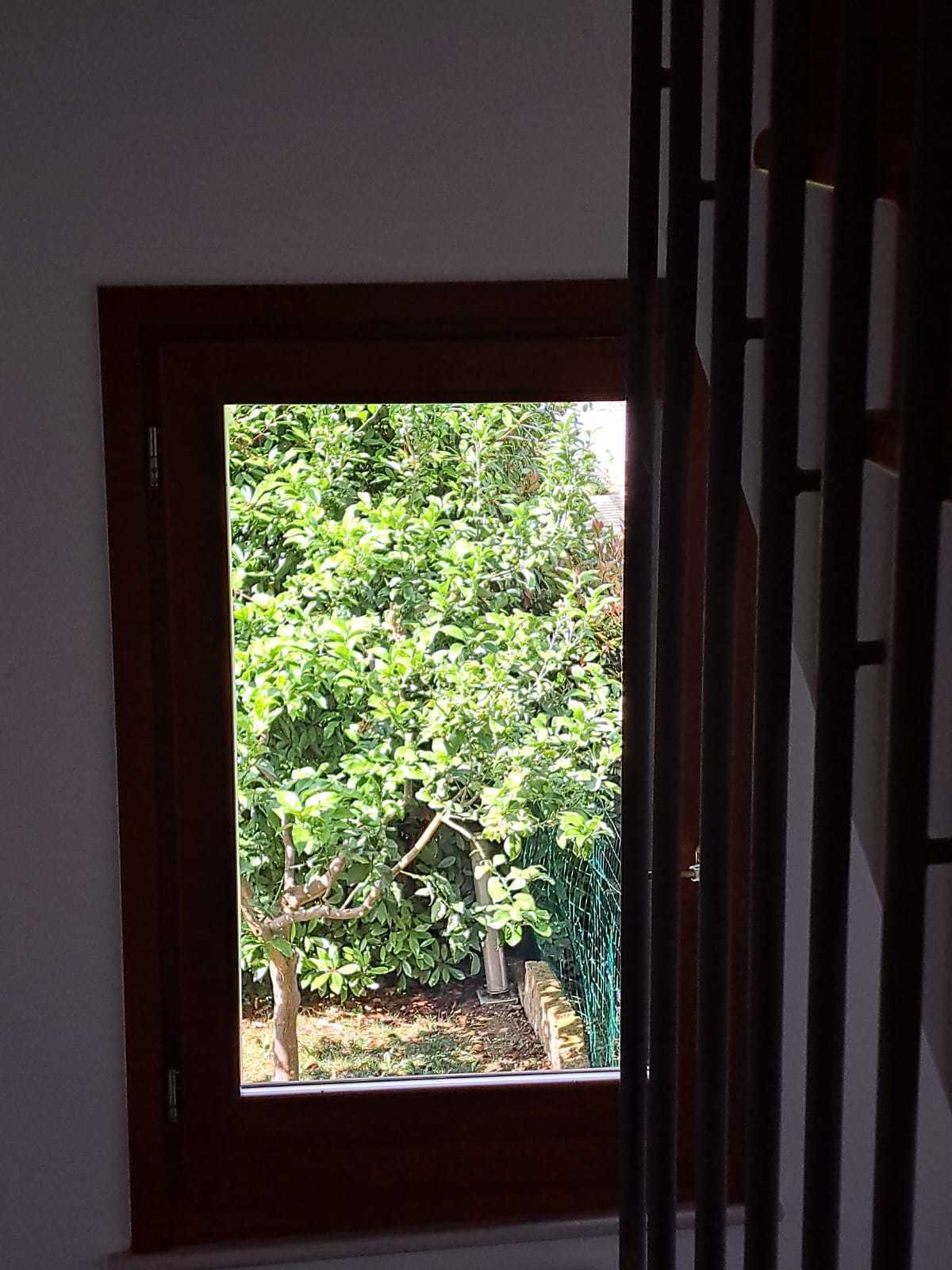 - foto 63