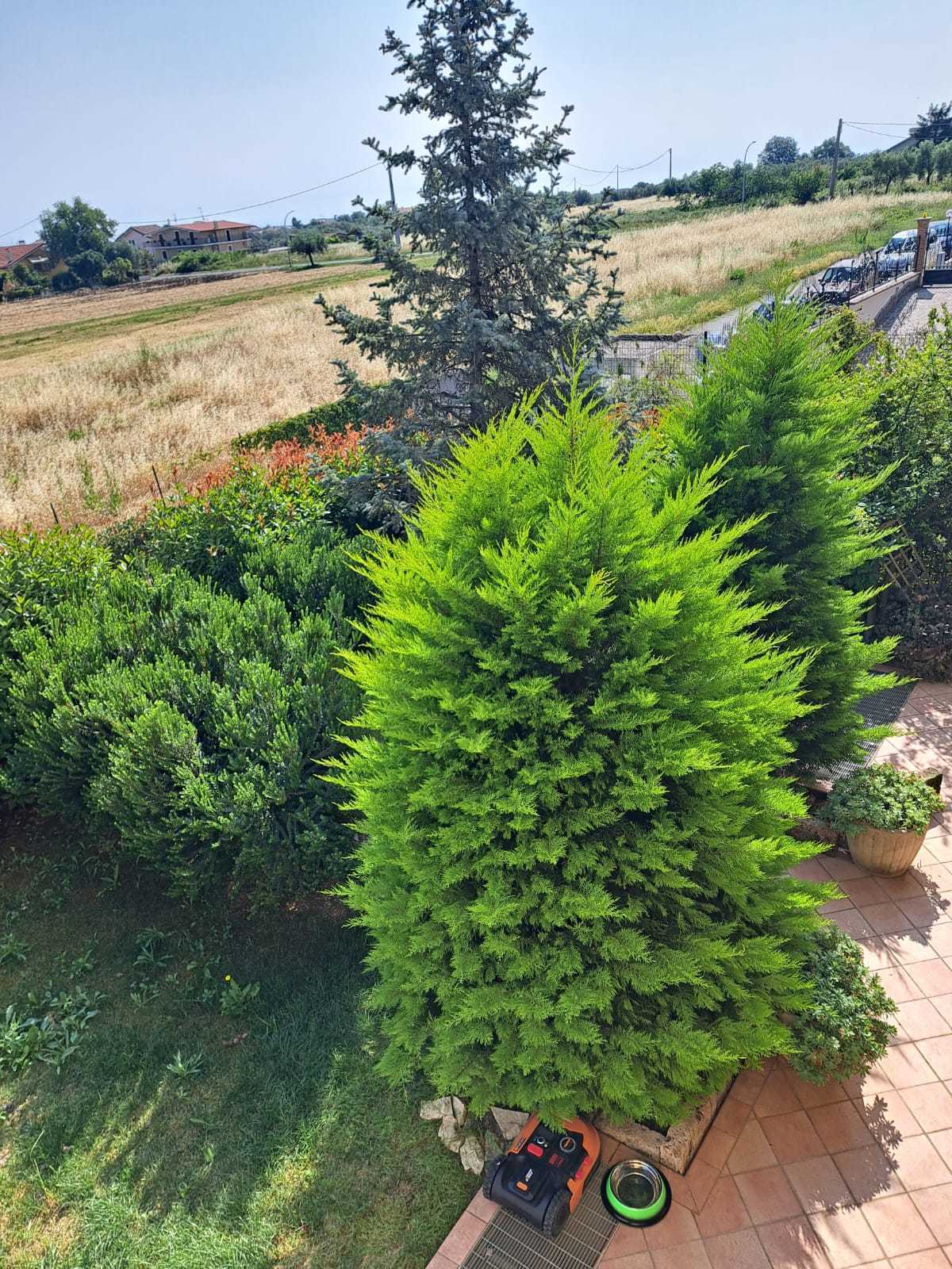  - foto 64