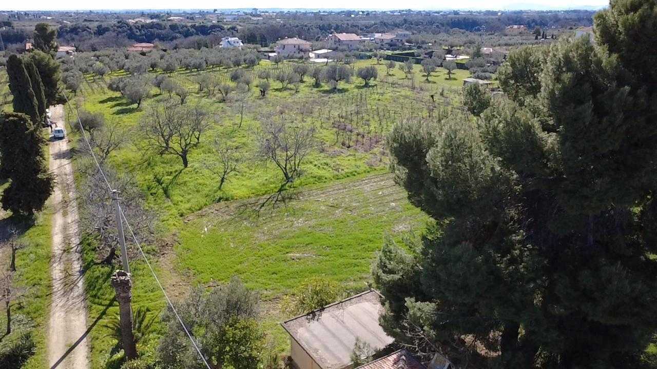  - foto 65
