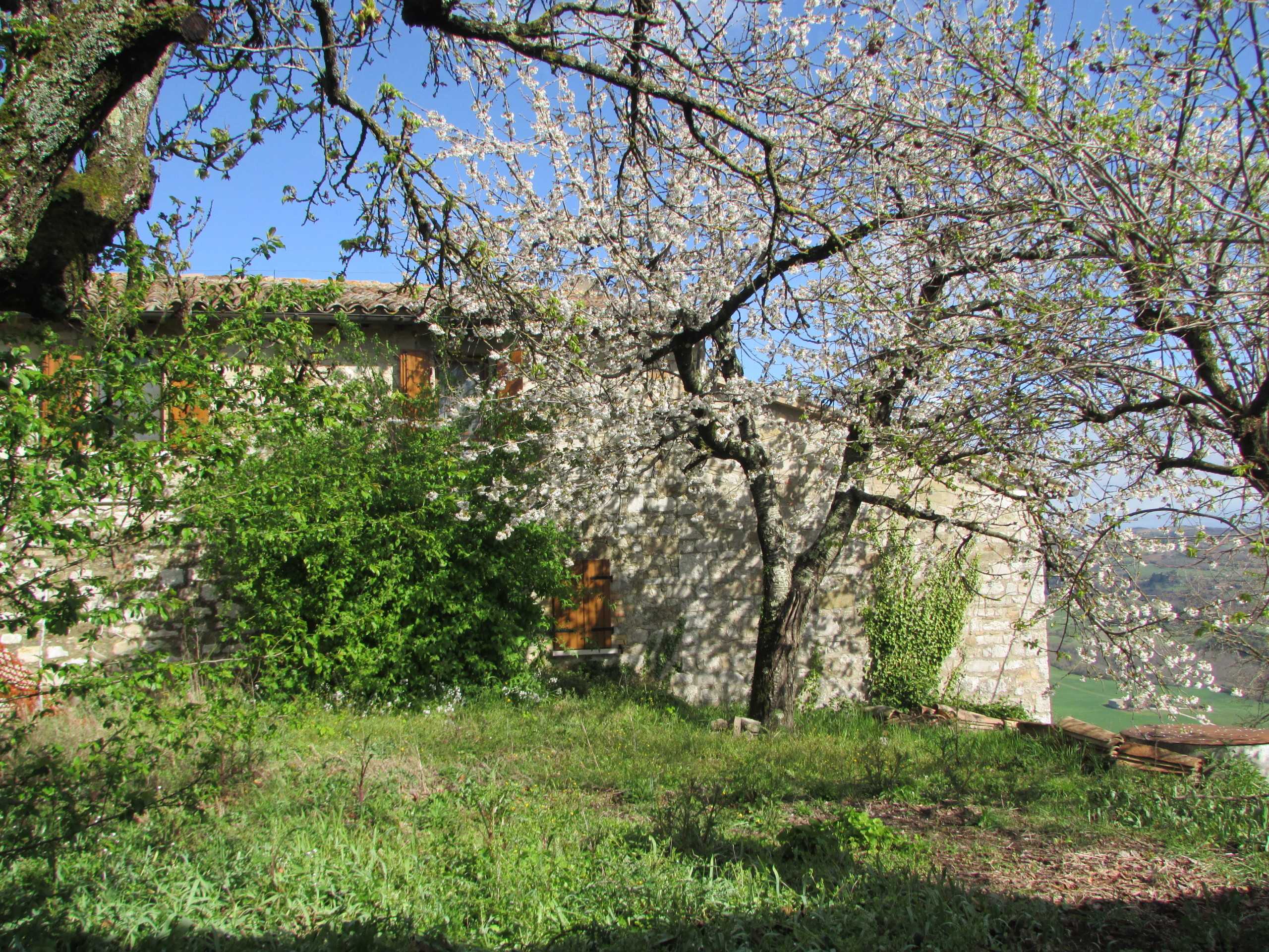  - foto 20